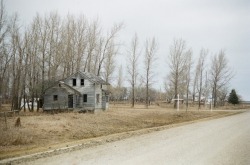 goldenprairies:dead and rotting