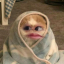 xxxdjfjtsh