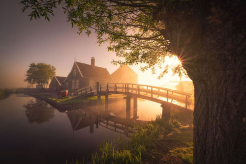 archatlas:     Dutch Windmills in the Fog  Photographer Albert Dros woke up early in the morning to shot the incredible windmills’ village of Zaanse Schans. He creates then a fairy atmosphere looking like a Grimm brother’s novel. The village, usually