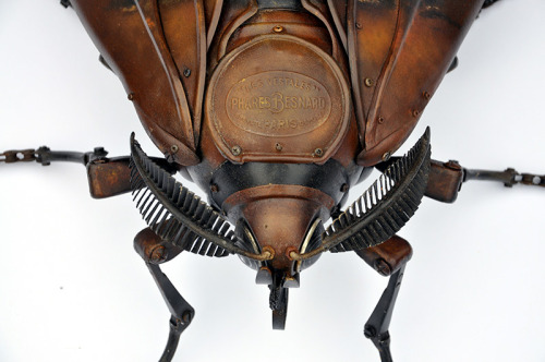 itscolossal:Amazing new insect and animal assemblages made from car and bike parts by Edouard Martin