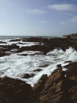 livsays:  Northern California nature // The