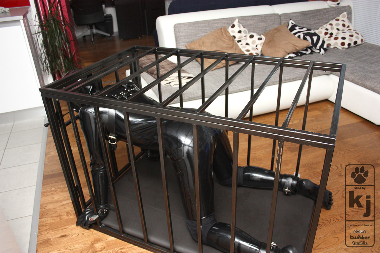 mdshaven:  Manic gimp pup tied in the cage, may not look it but it was a stress position