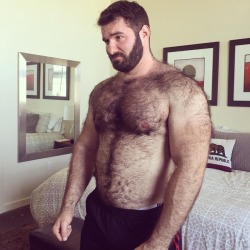 Hairy Muscle Bears and Dear Daddies