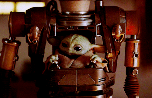 nikita-mearss:  The most adorable tiny menace in the galaxy💚