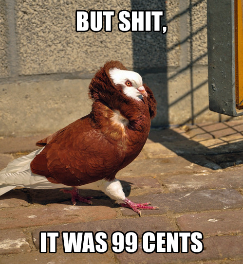 tastefullyoffensive:  Macklemore Pigeon [x]