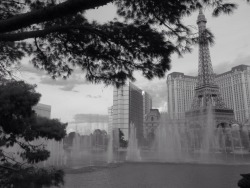 View From The Bellagio. Las Vegas 2012. #Myphotos