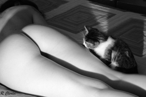 noirenblanc:  Pet 2 by RiccardoClerici 
