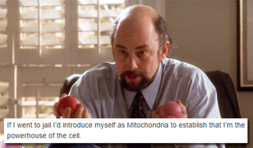 not-all-the-prayers:  The West Wing + tumblr text posts (24/?) 