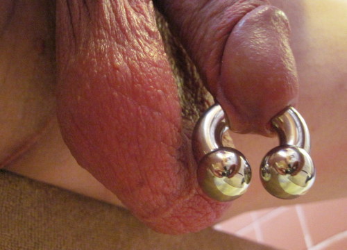 5/8" 00 gauge circular barbell with 5/8" balls; a pleasure to wear!