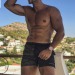 stratisxx:Greek stud giwrgos_tsavlidis_trainer_