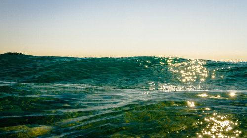 nevver:  Shore break, Alex Beker 