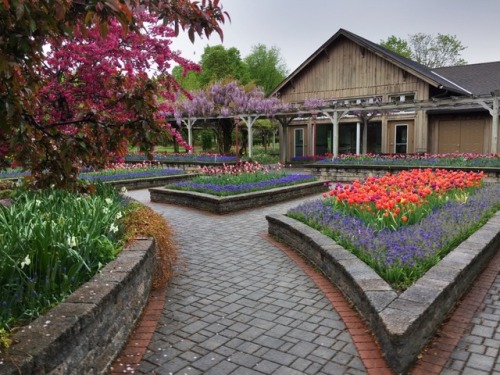 nncastle:Today we went to the Orange County Arboretum for their annual plant sale. Lots of color and