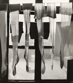 lauramcphee:  Stockings drying in the window, 1966 (János Szász) 