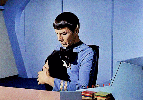 themushroomblues: What do you make of the cat, Mister Spock?Quite a lovely animal, Captain. I find m