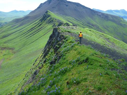 typhlonectes:U.S. Geological Survey (USGS):  AlaskaField Work — Sometimes our field work takes our e