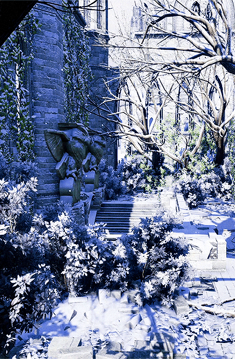 gamerism:ALTALTALTALTALTALTALTALTDRAGON AGE INQUISITION: EMPRISE DU LION - SULEDIN