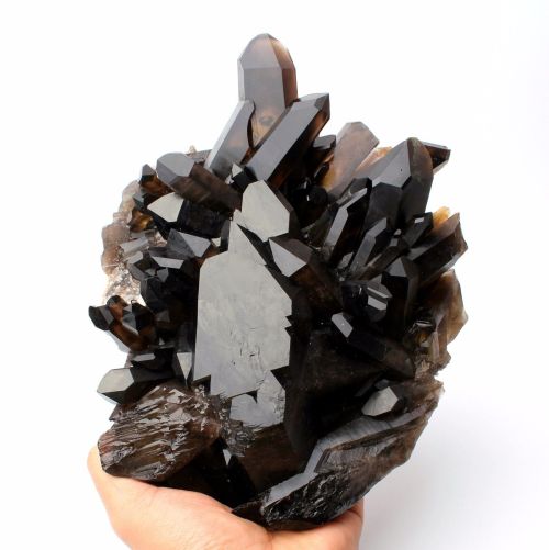 bijoux-et-mineraux:Dark Smoky “Black” Quartz - China