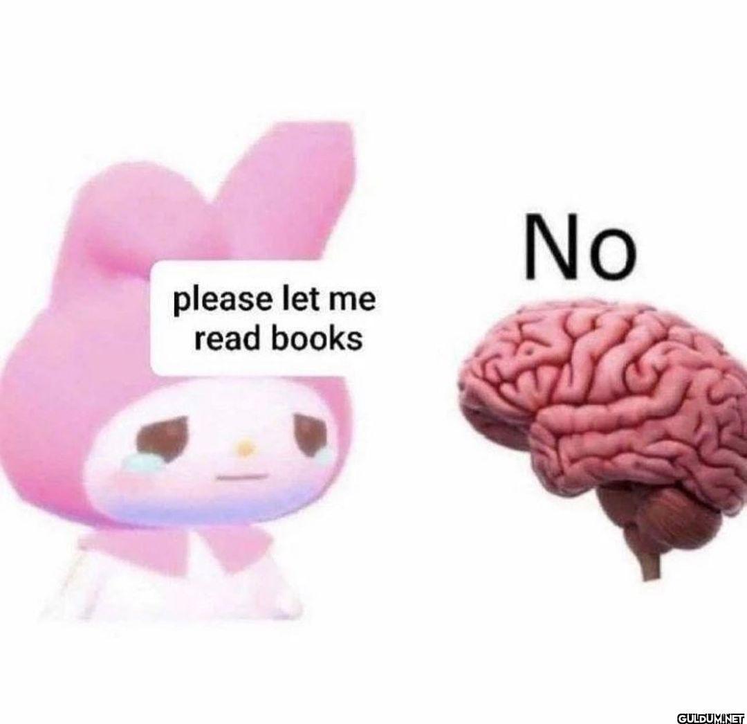 @not.not.reading   please...