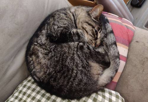 Taking Up Space