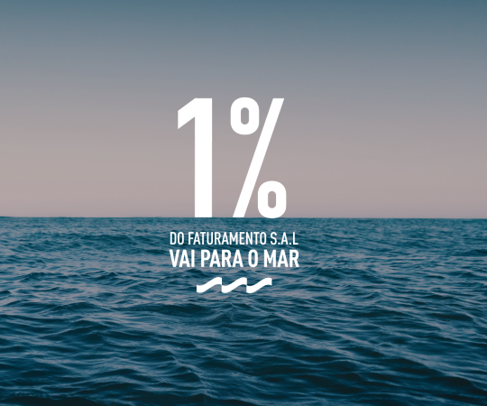 S.A.L & INSTITUTO ROUTE BRASIL: 
PROTEGENDO OS OCEANOS.