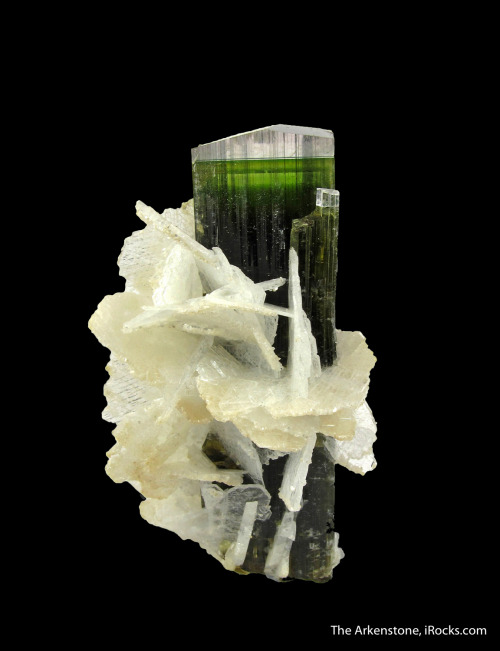 hematitehearts: Tourmaline with Albite var. Cleavelandite Locality: Stak Nala, Haramosh Mts., S