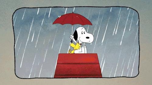 THE SNOOPY SHOW • 1.02