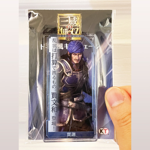 I know it&rsquo;s late, but a little Christmas present for myself. Got these Jia Xu (Dynasty War