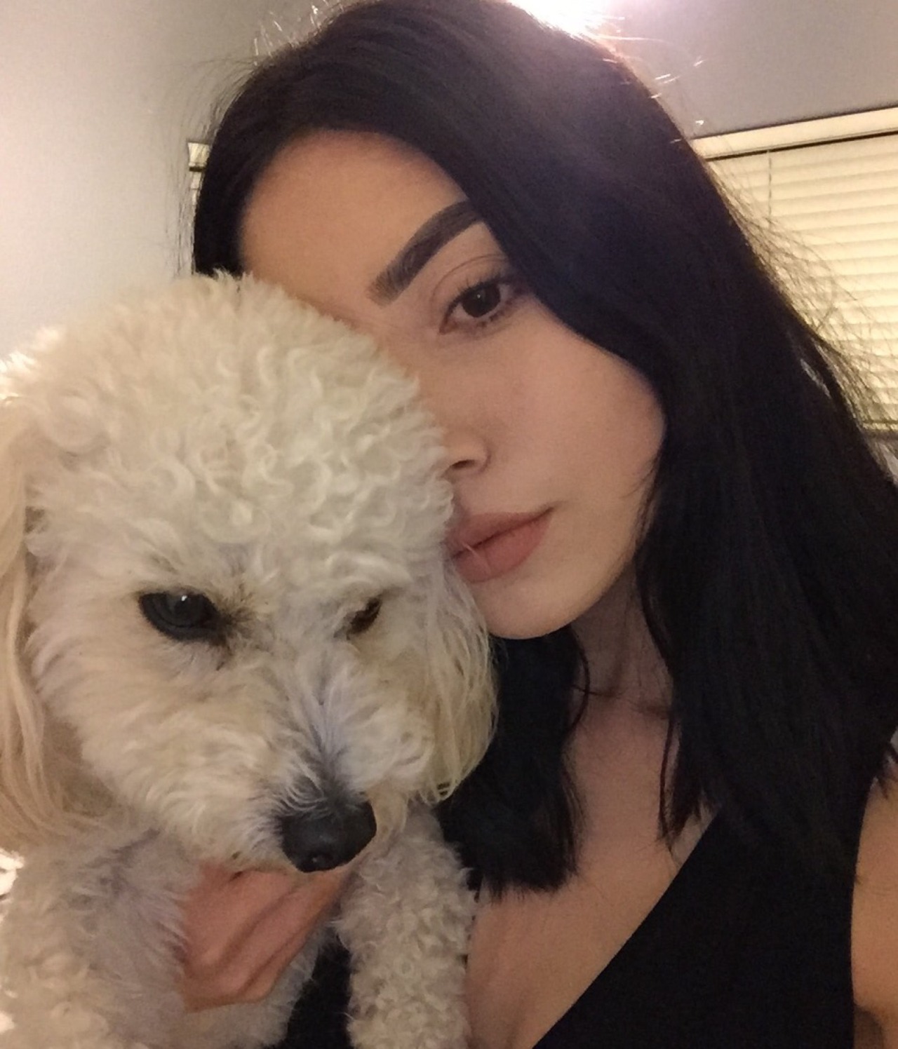 sof-yaa:  my dog hates me probably