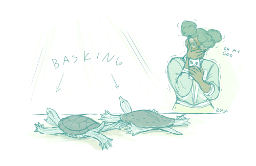 More Adventures With Demutated Turtles. I Can't Get Over When Basking Sliders And Softshells Stretch