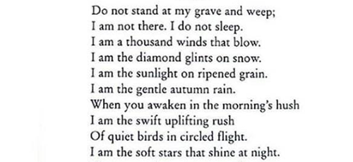 dykeswiftie:adamparrush:sleeping in the forest - mary oliver / his dark materials - philip pullman /