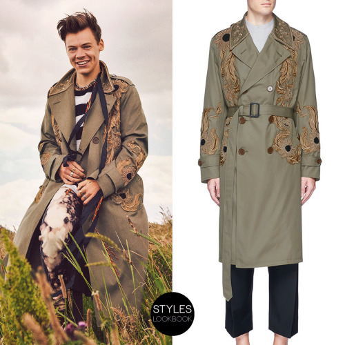 styleslookbook:  As part of three exclusive fashion stories, Harry appeared in the 23rd issue of Ano