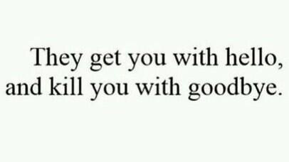 silly-luv:  ♡ find your best posts on my blog ♡ 