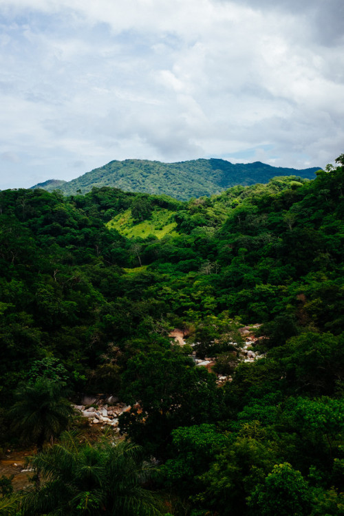 foxxis: Botanical Gardens Puerto Vallarta by sleithart