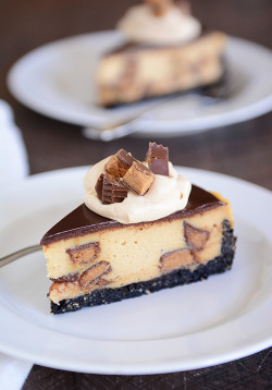 ilovedessert:Peanut Butter Cup Cheesecake with Chocolate Cookie Crust