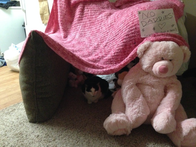 little-dom-space:daddy-pie:Princess and I made a pillow fort! I’m lucky that I