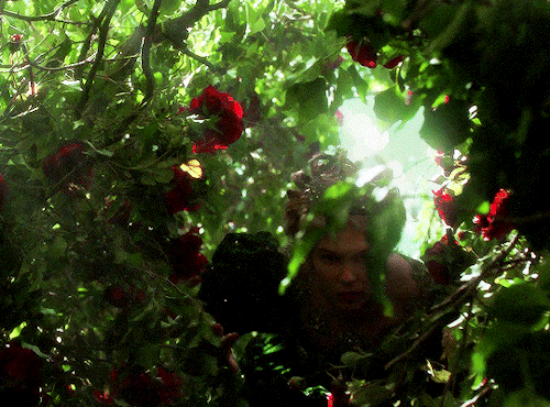 LA BELLE ET LA BTE + Dir. Christophe Gans