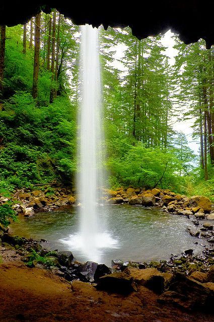 our-amazing-world:  Ponytail Falls in th Amazing World beautiful amazing 