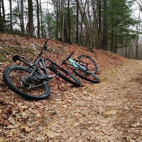 racepacemtb: It felt like a #festivus miracle to get the mountain bikes out and explore some Virgini