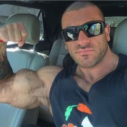 Muscle hunks in cars