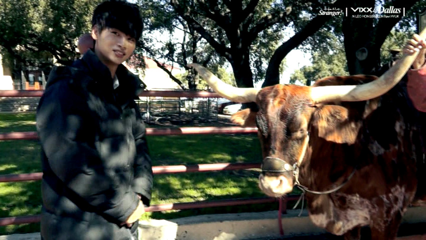 siampop-deactivated20150305:  hakyeon pls 