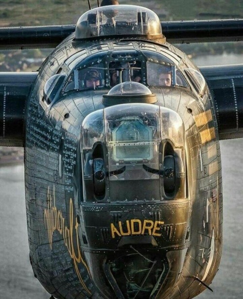 planesawesome:   B-24 Liberator  