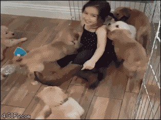 For animated GIFs