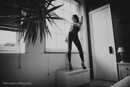 BDSMGeek