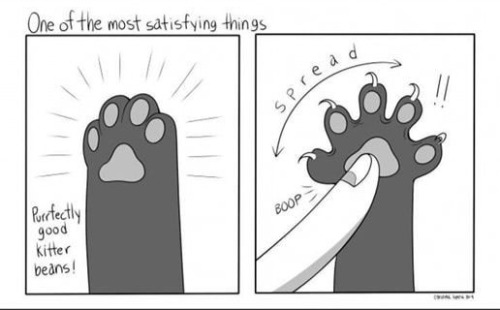 Since Your Dealer Has Cat-like Claws... Can We Push In The Middle And Do This?