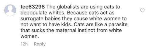 harleyismyhero: vermiciousyid: They also explicitly called cats “purring (((jews)))” yes