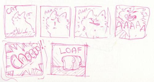 rabbitfears:  rabbitfears:  A bunch of cat loaf. A comic in which the first panel must be a cat and the last panel a loaf.  In order of creation. lots of loafy cats for all  Been getting re-blogged a bit. So I’m going to join in…self re-blog woo.