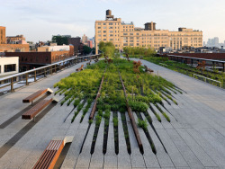 escapekit:  High Line Design and landscape studio Diller Scofidio + Renfro helped create the HighLine. A new 1.5-mile long public park built on an abandoned elevated railroadstretching from the Meatpacking District to the Hudson Rail Yards in Manhattan. 