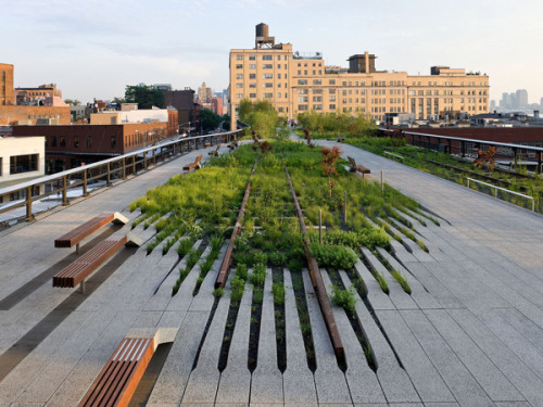 Porn escapekit:  High Line Design and landscape photos