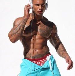 David McIntosh