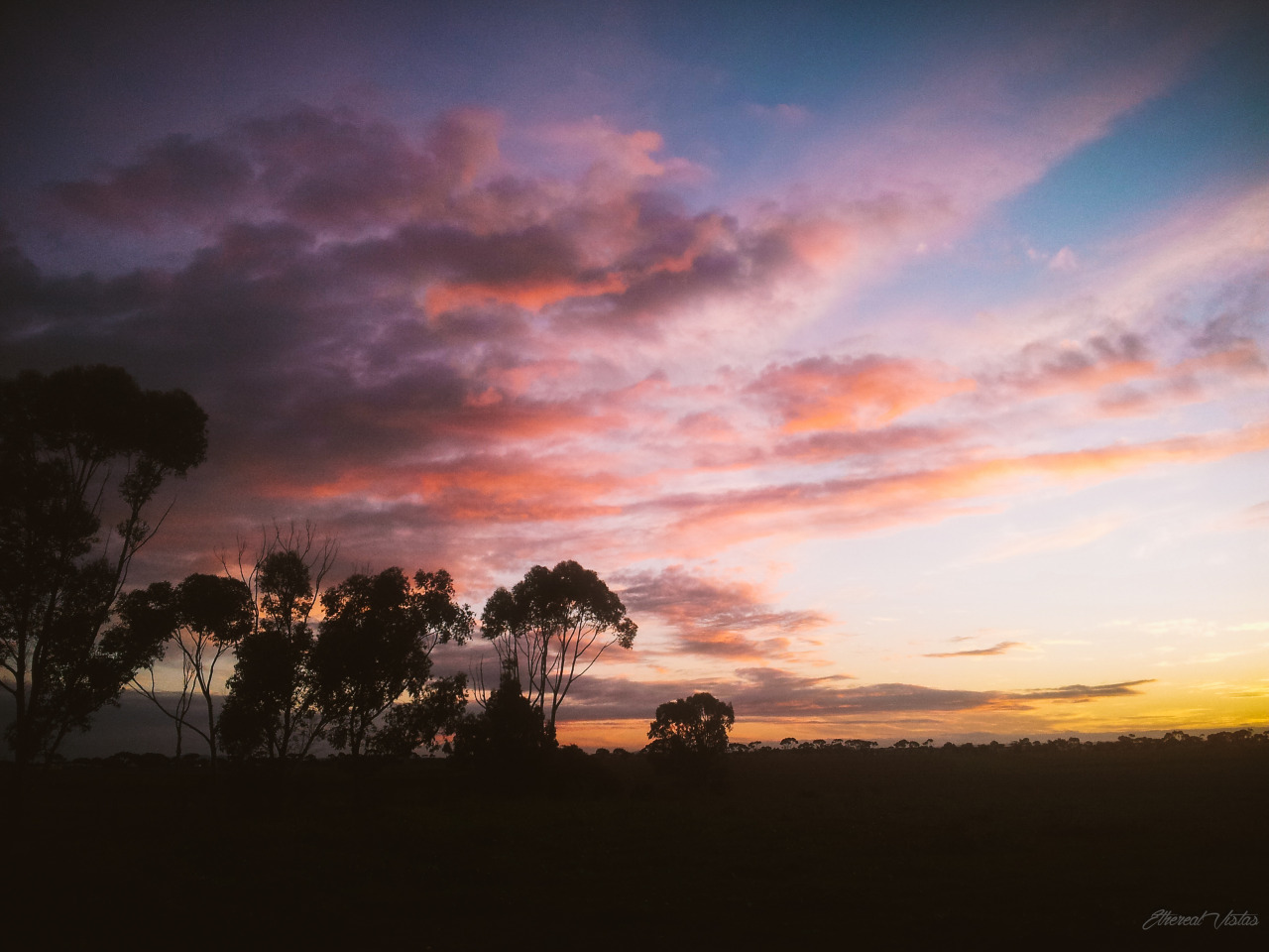 etherealvistas:  Sunset Meadow (Australia) by Me 